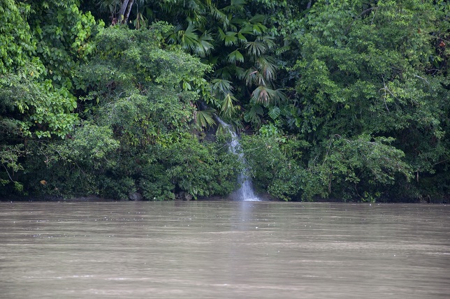 forêt amazonienne et le Rio Napo