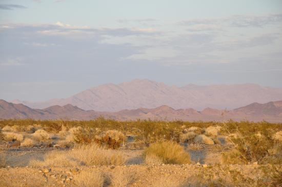 desert du Mojave
